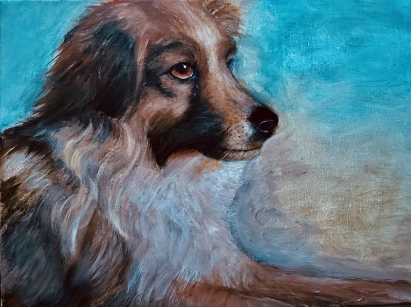 Hund